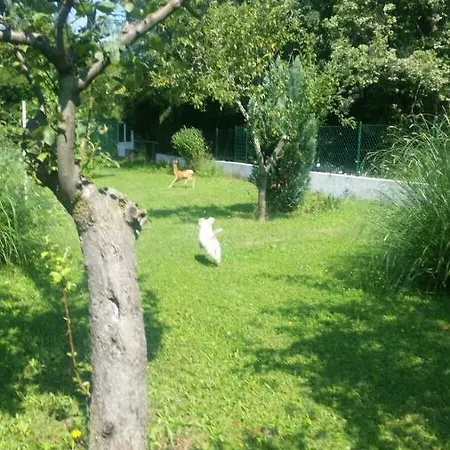 Διαμέρισμα Two Bedroom