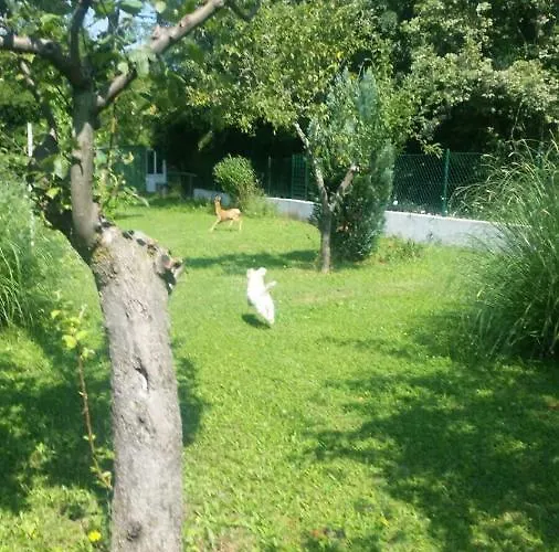 Apartman Two Bedroom